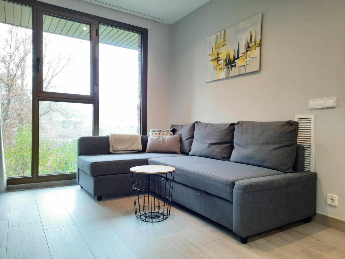Apartamentos Ordesa Aínsa Δωμάτιο φωτογραφία